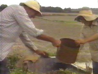 CAMPO - (16)  LABRANZA